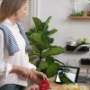 Kamera IP Reolink Argus PT Ultra 8MP bateryjna Wi-Fi